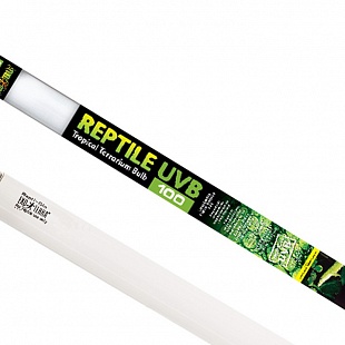 Люминесцентная лампа с УФ - Exo-Terra Reptile UVB100 T8